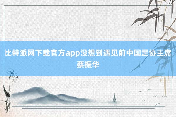 比特派网下载官方app没想到遇见前中国足协主席蔡振华