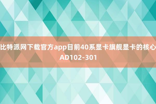 比特派网下载官方app　　目前40系显卡旗舰显卡的核心AD102-301