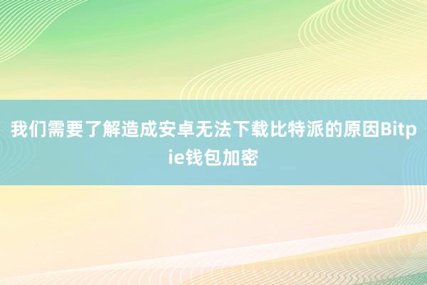 我们需要了解造成安卓无法下载比特派的原因Bitpie钱包加密