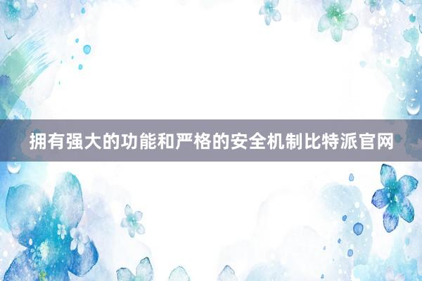 拥有强大的功能和严格的安全机制比特派官网