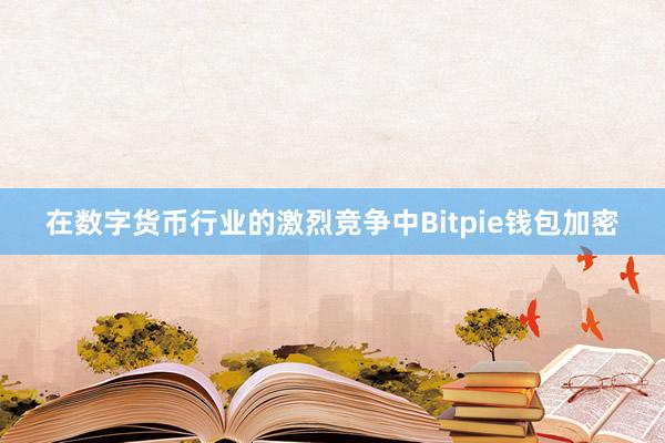 在数字货币行业的激烈竞争中Bitpie钱包加密