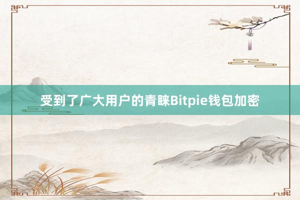 受到了广大用户的青睐Bitpie钱包加密