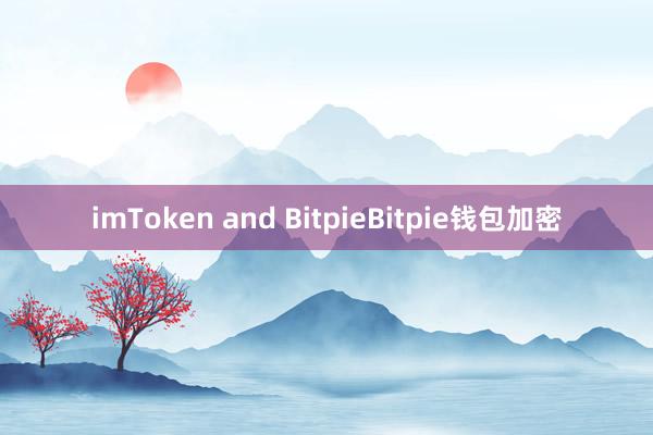 imToken and BitpieBitpie钱包加密