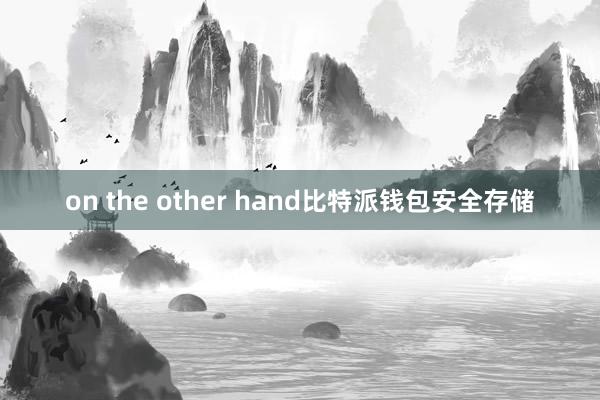 on the other hand比特派钱包安全存储