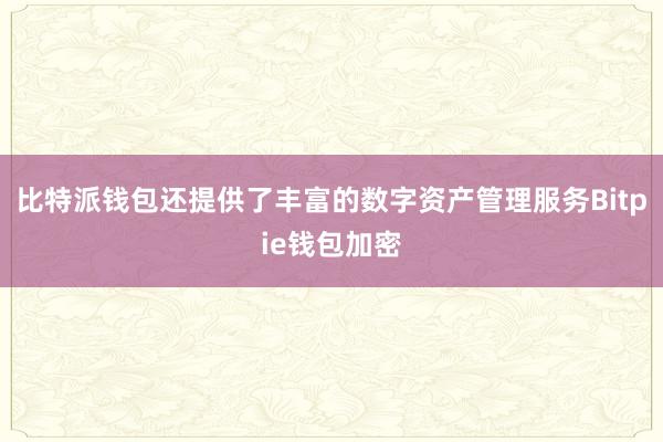 比特派钱包还提供了丰富的数字资产管理服务Bitpie钱包加密