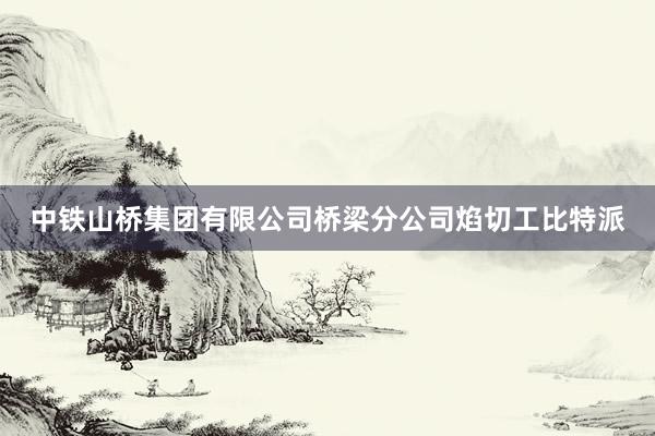 中铁山桥集团有限公司桥梁分公司焰切工比特派