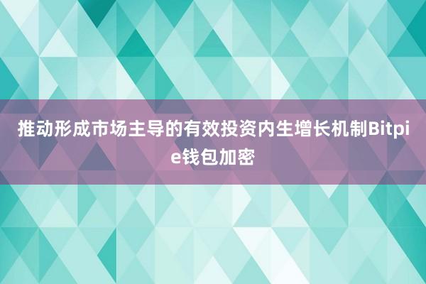 推动形成市场主导的有效投资内生增长机制Bitpie钱包加密