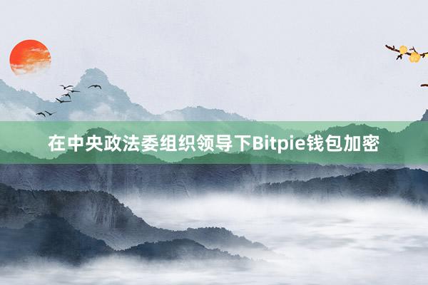 在中央政法委组织领导下Bitpie钱包加密